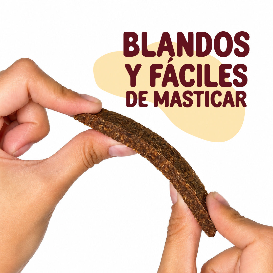 Tiras de carne | Premio para perro