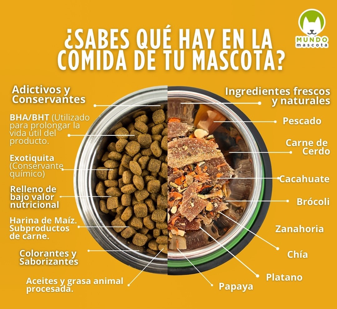 Mundo Mascota sobre 70 gr Alimento Deshidratado 100% Natural para Gato