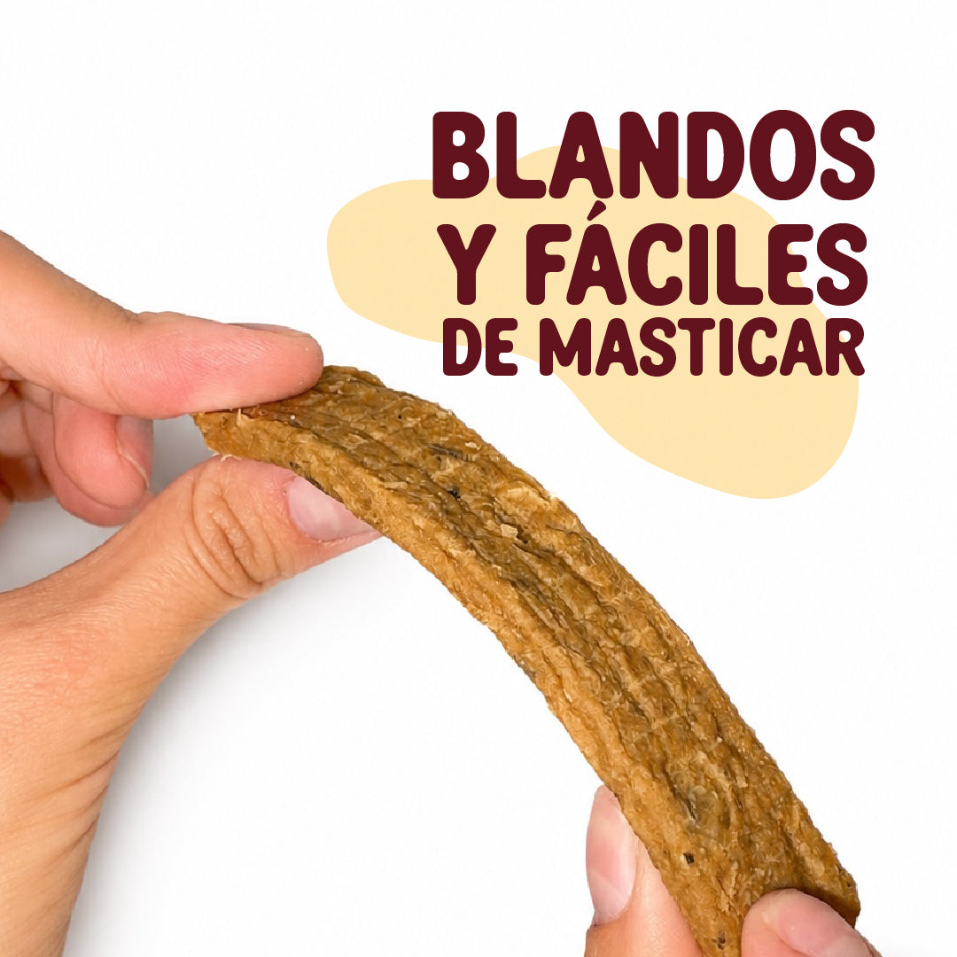 Tiras de pescado | Premio para perro